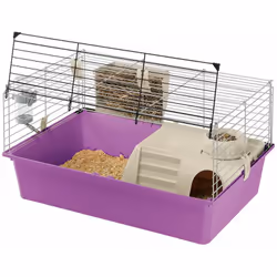Ferplast è tra i più grandi produttori al mondo nel settore degli articoli e accessori per animali domestici. Fondata nel 196 ...