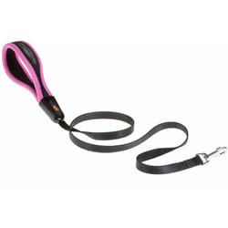 Ferplast - ergofluo g Guinzaglio per cani in nylon con impugnatura imbottita.. Variante G25/120 - Misure: 25 mm x l 120 cm - Fucsia