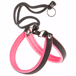 Mantieniti sempre aggiornato! È facile con queste moderne pettorine per cani dai colori fluo! Disponibili in diverse misure, ...