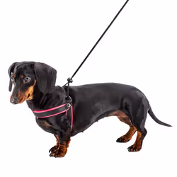 Ferplast Agila Fluo Nero, Fucsia Nylon Cane Pettorina gilè - Vista aggiuntiva 7