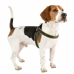 Ferplast Agila Fluo Nero, Giallo Nylon Cane Pettorina gilè