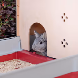 Ferplast Krolik 140 Plus Rabit Grigio, Rosso - Vista aggiuntiva 5