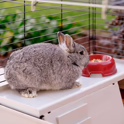 Ferplast Krolik 140 Plus Rabit Grigio, Rosso - Vista aggiuntiva 6