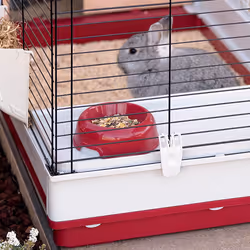 Ferplast Krolik 140 Plus Rabit Grigio, Rosso - Vista aggiuntiva 8