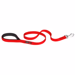 Ferplast Daytona GA, Cane, Guinzaglio educativo, Rosso, Nastro, Monocromatico, Nylon
