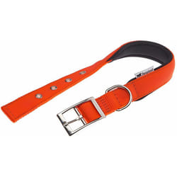 Daytona c Collare in nylon con soffice imbottitura - in vari colori e misure. Variante C25/45 - Misure: a: 37-45 cm b: 25 mm - Arancione - Ferplast