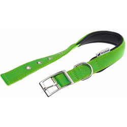 Daytona c Collare in nylon con soffice imbottitura - in vari colori e misure. Variante C25/53 - Misure: a: 45-53 cm b: 25 mm - Verde acido - Ferplast