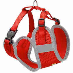 La pettorina tecnica per cani è l'accessorio perfetto per chi cerca comfort, sicurezza e stile per il proprio animale. Realiz ...