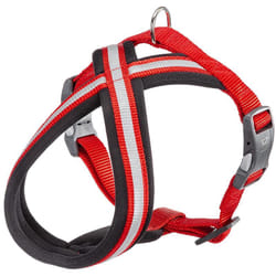 Daytona cross p Pettorina riflettente per cani con fibbia magnetica. In vari colori e misure. . Variante xs - Misure: b: 39-50 cm 15 mm - Rosso
