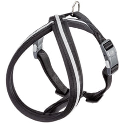Daytona cross p Pettorina riflettente per cani con fibbia magnetica. In vari colori e misure. . Variante m-l - Misure: b: 63-88 cm 20 mm - Nero