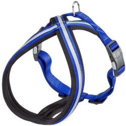 Daytona cross p Pettorina riflettente per cani con fibbia magnetica. In vari colori e misure. . Variante m-l - Misure: b: 63-88 cm 20 mm - Blu
