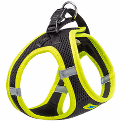 La pettorina tecnica per cani è l'accessorio perfetto per chi cerca comfort, sicurezza e stile per il proprio animale. Realiz ...