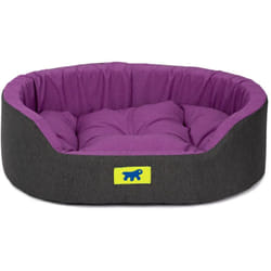 Dandy colours Cuccia Cane e Gatto da Interno, in Cotone con Cuscino Removibile dandy. Variante 45 - Misure: 45 x 35 x h 13 cm - Viola - Ferplast