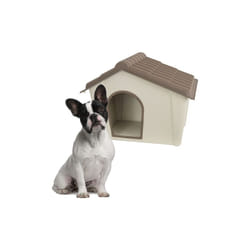 Saturnia - Cuccia in resina da cm 79x59 altezza cm 60 adatta per cani di media taglia resistente alle intemperie