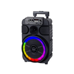 Trevi XFEST ALTOPARLANTE TROLLEY 40W WIRELESS USB MICRO SD AUX-IN TWS XF 460