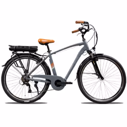 EMG Bici elettrica Vintage Marlon, con telaio 19", ruota 28", motore Ananda centrale 250W, Batteria 13Ah, Cambio Shimano, Lit ...