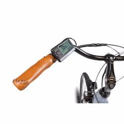 EMG Bici elettrica Vintage Marlon, con telaio 19", ruota 28", motore Ananda centrale 250W, Batteria 13Ah, Cambio Shimano