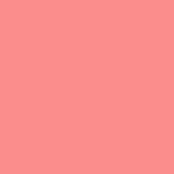 Naj-Oleari True Icon 02 Rosa Conchiglia 3g - Vista aggiuntiva 5