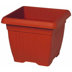 Blinky - Vaso Giglio Quadro Art.630