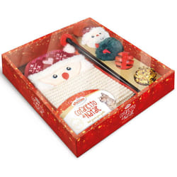 Cofanetto di Natale per gatti con giochi