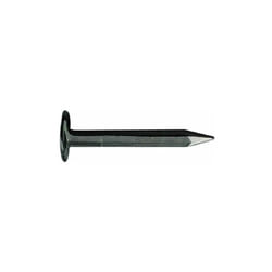 Blinky Sellerine Acciaio Due Leoni Testa Fresata 2.5Kg 26mm - Vigor