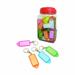 Targhette Portachiavi Giganti Plastica Trasparente Colorata Colorazion Miste Chiusura/Apertura a Scatto Dimensioni Mm. 65X30 ...