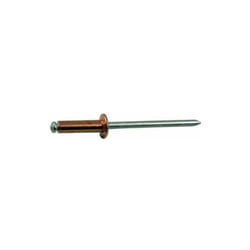 Blinky Rivetti in Rame Scatole 1000 Pezzi 3x11mm