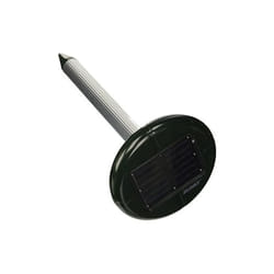 Blinky - Scacciatalpe Rody Solar-Sonic