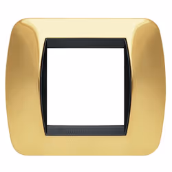Placca Bticino LivingLight (ex international) 2 moduli (frutti,posti) colore oro lucido. La placca può montare su supporto L4 ...