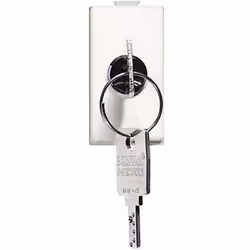 Deviatore 1P 10A 250V ac con chiave - colore bianco - chiave estraibile anche in posizione off - chiavi tra loro differentiSc ...