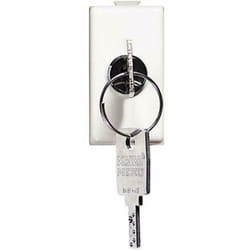 Deviatore con chiave 2p 10a matix am5007d - Bticino