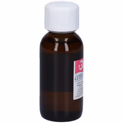 Ribes Nigrum Gemme Macerato Glicerico per Sistema Immunitario 60ml