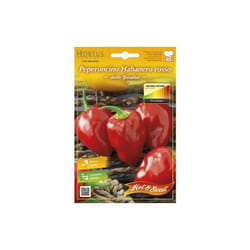 Semi orto peperoncino habanero rosso 10 pz