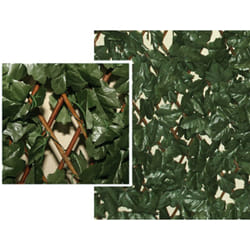 Siepe panel Green brixo alloro 100X200CM
