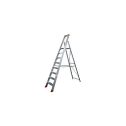 Scale alluminio step up profi 10 gr.