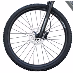 Legnano 23AC949 bicicletta elettrica Nero, Grigio Alluminio 73,7 cm (29") 24 kg