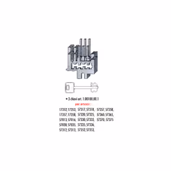 Cisa 07590.23 gruppo nottolini in acciaio fornito con 3 chiavi art.00100.00.1. Per serrature serie: 17352-17353-17357-17358-5 ...