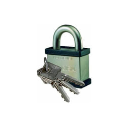Cisa - Lucchetto in Acciaio Arco Normale 55 mm