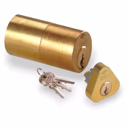 Caratteristiche: In ottone Per elettroserrature Cilindro sagomato a 3 perni Lunghezza mm. 11 Cilindro Ø25 mm a 5 perni Lunghe ...
