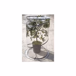 serra Pop up citrus, 90x150 cm - VerdemaxSerra da esterno ideale per proteggere piante e fiori senza doverle spostare.Comoda  ...