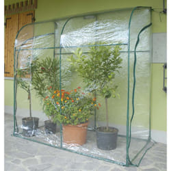 Verdemax - telo ricambio serra clematis 200x100x215 cm accessori protezione piante