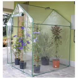 Verdelook telo di ricambio per serra 2646, 155x155x205 cmTelo di ricambio per Serra Clematis Verdelook 2646. Caratteristiche: ...