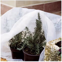 Il cappuccio in TNT 17gr/mq Verdemax è indicato per proteggere dal freddo piccole piante ein vaso o in giardino mantenendo un ...