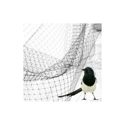Green - rete anti uccelli protezione antiuccelli nylon per orto piante mt 2X10 (26711)