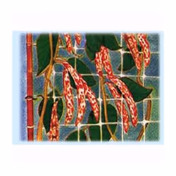 Specifica per ortaggi rampicanti, confezionata in bobine da ml. 10 - 100 - 1000, maglia mm. 150x170 Altezza cm. 170 Bobine ml ...