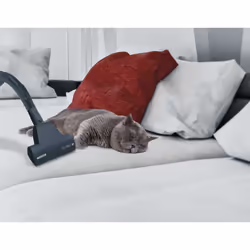 Hoover Breeze BR71_BR30011 2 L A cilindro Secco 700 W Senza sacchetto - Vista aggiuntiva 6
