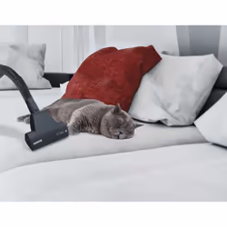 Hoover Breeze BR32PET 011 2 L A cilindro Secco 550 W Senza sacchetto - Vista aggiuntiva 5