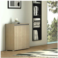 Mobile Multiuso Olmo - 2 Ante - 3 Ripiani Regolabili - 80x37x102 cm - Terraneo