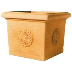 Fraschetti - Vaso quadrato con rosone impruneta Telcom - 49x49x41 cm