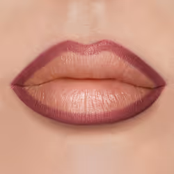 Diego dalla Palma Plump & Fill My Lips Matita Labbra Effetto Volume 192 Rosa antico - Vista aggiuntiva 5
